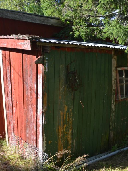 DSC_1491